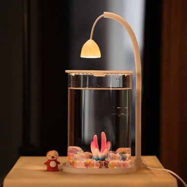Bể Cá Betta Đèn LED Thủy Tinh - Trang Trí Phòng Ngủ và Phòng Khách, Giá 190k 8