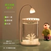 Bể Cá Betta Đèn LED Thủy Tinh - Trang Trí Phòng Ngủ và Phòng Khách, Giá 190k 10