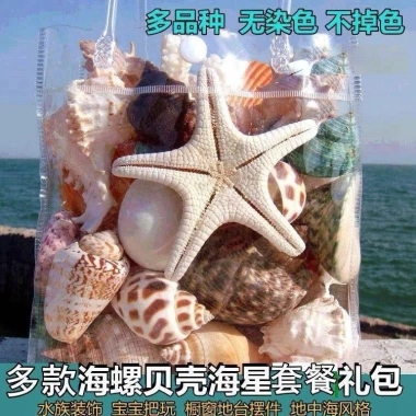 Bể Cá Trang Trí Vỏ Sao Biển Conch Đại Dương - Bộ Cảnh Quan Đồ Trang Trí Quà Tặng 251.940 VND