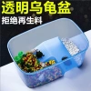 Bể nuôi rùa Baba cao cấp, chậu nhựa hình chữ nhật cho bò sát - Giá 60.000đ