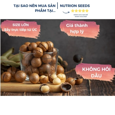 Béo Giòn Hạt Mắc Ca Úc Vỏ Nứt Loại 1 Size 25-28mm Nướng Trực Tiếp Túi 500g 185k 5