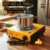 Bếp hơ lá trầu mini điện, tay cầm cách nhiệt chống giật, kèm cây muối chườm mắt thảo dược