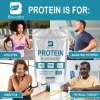 Beworths Bột Whey Protein Hữu Cơ Tự Nhiên – Tăng Cơ, Bổ Năng Lượng, Thay Thế Thực Phẩm, Giá 251.900₫ 6