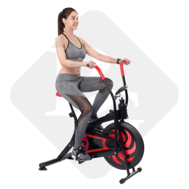 B&G Xe đạp tập thể dục thể thao tại chỗ 8.701 BLUE – Kết hợp tay chân, giảm giá 1.799k