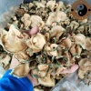 Bí đao khô sấy lạnh organic giảm cân 500g‑1kg, trà thái lát, sâm hạt chia, lá dứa 2