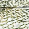 Bí Đao sấy khô thanh nhiệt giải độc 500g 1kg giá chỉ 90.000đ tươi dinh dưỡng 9