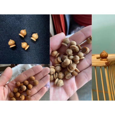 Bi gắn nóc và chân lồng chim chào mào cao cấp tre già - 1 viên 6.000đ