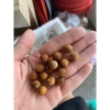 Bi gắn nóc và chân lồng chim chào mào cao cấp tre già - 1 viên 6.000đ 6