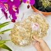 Bích 150g Kẹo Dừa Quảng Ngãi Đặc Sản Miền Trung Thơm Ngon, Miếng Tròn 2