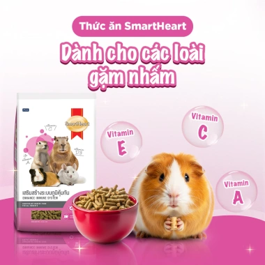 Bịch 3kg Thức ăn Smartheart cho bọ ú, thỏ, hamster, sóc, chinchila - 219.600₫