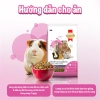 Bịch 3kg Thức ăn Smartheart cho bọ ú, thỏ, hamster, sóc, chinchila - 219.600₫ 8