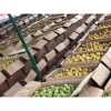 Bình 5 lít mơ ngâm đường sỉ - Giá chỉ 280.000 VNĐ, giảm mạnh so với 355.600 2