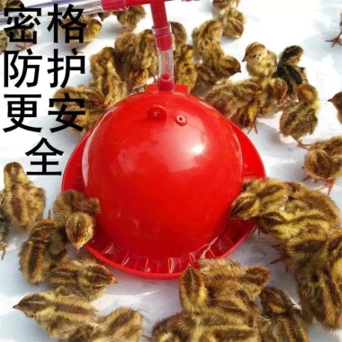Bình Nước Tự Động Cho Chim Cút và Gà Con - Tiết Kiệm, Dễ Dùng, Giá 36.542₫ 2
