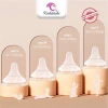 Bình Sữa Cổ Rộng Bé Kichilachi PPSU Hình Gấu 90‑160‑260ml Không BPA Giá Đãi 122k 8