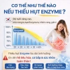 Bình Sữa HEGEN Singapore 150ml-240ml PPSU Chính Hãng, Núm Ti Siêu Mềm, Cao Cấp cho Bé 4