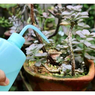 Bình tưới cây vòi cong nhựa nhiều màu, vạch chia dung tích 250ml-500ml, chỉ 15.000 VND