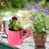 Bình tưới Mini chậu cây trang trí đa chức năng 9,6x4,5 inch, bề mặt nhẵn chắc chắn cho văn phòng và nhà giá 88.550₫ 2