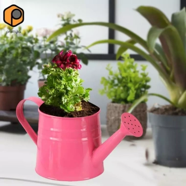 Bình tưới Mini chậu cây trang trí đa chức năng 9,6x4,5 inch, bề mặt nhẵn chắc chắn cho văn phòng và nhà giá 88.550₫