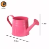 Bình tưới Mini chậu cây trang trí đa chức năng 9,6x4,5 inch, bề mặt nhẵn chắc chắn cho văn phòng và nhà giá 88.550₫ 6