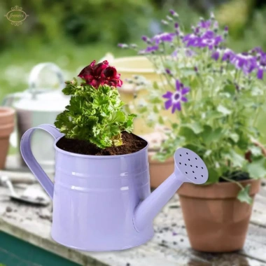 Bình tưới nước Mini chậu trồng cây 9.6x4.5 inch – Hộp hoa mộc mạc, bề mặt mịn, đồ thủ công, tiệc tân gia – 88.550đ