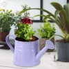 Bình tưới nước Mini chậu trồng cây 9.6x4.5 inch – Hộp hoa mộc mạc, bề mặt mịn, đồ thủ công, tiệc tân gia – 88.550đ 3