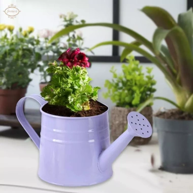 Bình tưới nước Mini chậu trồng cây 9.6x4.5 inch – Hộp hoa mộc mạc, bề mặt mịn, đồ thủ công, tiệc tân gia – 88.550đ