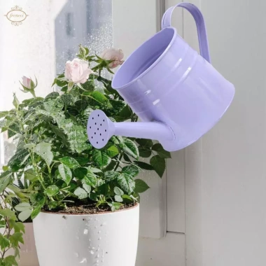 Bình tưới nước Mini chậu trồng cây 9.6x4.5 inch – Hộp hoa mộc mạc, bề mặt mịn, đồ thủ công, tiệc tân gia – 88.550đ