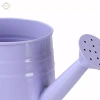 Bình tưới nước Mini chậu trồng cây 9.6x4.5 inch – Hộp hoa mộc mạc, bề mặt mịn, đồ thủ công, tiệc tân gia – 88.550đ 5