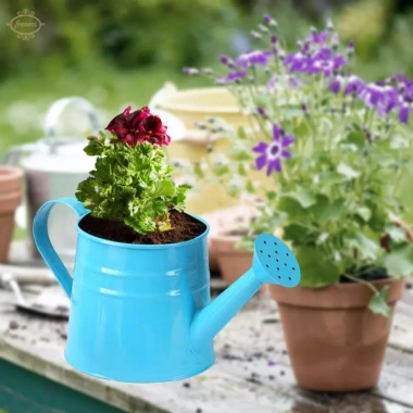 Bình tưới nước Mini chậu trồng cây 9.6x4.5 inch – Hộp hoa mộc mạc, bề mặt mịn, đồ thủ công, tiệc tân gia – 88.550đ