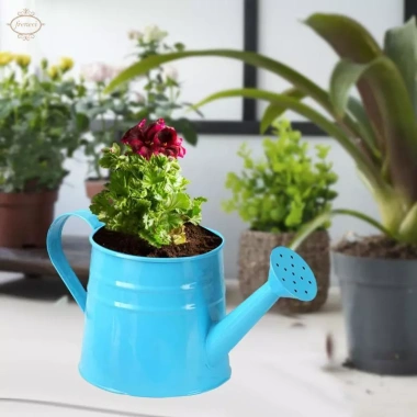 Bình tưới nước Mini chậu trồng cây 9.6x4.5 inch – Hộp hoa mộc mạc, bề mặt mịn, đồ thủ công, tiệc tân gia – 88.550đ