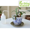 Bình tưới nước vòi cong cho sen đá xương rồng - Giá 19.000₫, tiện dụng 5
