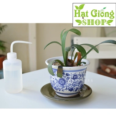 Bình tưới nước vòi cong cho sen đá xương rồng - Giá 19.000₫, tiện dụng