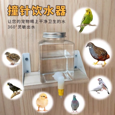 Bình uống nước tự động cho gà, chim cút, vẹt - Vòi rútin, giá 16.054 VND