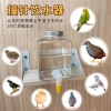 Bình uống nước tự động cho gà, gà con, vẹt và chim cút – Vòi Rutin, giá 15.120₫