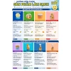 Bình xịt Scrub Daddy Anti Fog Spray 50ml - Chống sương mù, ngừa động nước, 199.000₫ 8