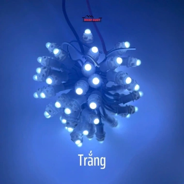 Bộ 1 túi 20 dây LED đúc F5 12V 3m 50 bóng và nguồn 33A chống nước, quấn cây thả rủ giá ưu đãi 399.000₫ 4 Bộ 1 túi 20 dây LED đúc F5 12V 3m 50 bóng và nguồn 33A chống nước, quấn cây thả rủ giá ưu đãi 399.000₫ 4