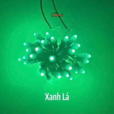 Bộ 1 túi 20 dây LED đúc F5 12V 3m 50 bóng và nguồn 33A chống nước, quấn cây thả rủ giá ưu đãi 399.000₫ 5 Bộ 1 túi 20 dây LED đúc F5 12V 3m 50 bóng và nguồn 33A chống nước, quấn cây thả rủ giá ưu đãi 399.000₫ 5