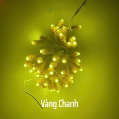 Bộ 1 túi 20 dây LED đúc F5 12V 3m 50 bóng và nguồn 33A chống nước, quấn cây thả rủ giá ưu đãi 399.000₫ 6 Bộ 1 túi 20 dây LED đúc F5 12V 3m 50 bóng và nguồn 33A chống nước, quấn cây thả rủ giá ưu đãi 399.000₫ 6