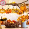 Bộ 10 miếng cắt bí ngô DIY Halloween - Mảnh cắt đa dạng, có thể sơn, trang trí tiệc Lễ Tạ Ơn - Giá chỉ 68.310₫ 5