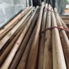 Bó 10 thanh gỗ tròn 4cm x 120cm - Cán chổi, vòng hoa, giàn leo, trang trí vườn, 50.000 VND 4