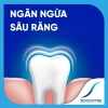 Bộ 2 Sensodyne Cool Gel 160g - Giảm ê buốt, hương bạc hà mát, Giá chỉ 180.500₫ 6