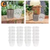 Bộ 20 Chậu Mầm Non Trong Suốt Đa Năng Nhẹ Tái Sử Dụng, Trồng Cây Nhân Giống Giá 99.000₫ 8