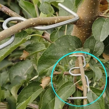 Bộ 20 chiếc dụng cụ kéo cành cây trái cây, nhánh dụng cụ vườn, giá ưu đãi 89.100 VND