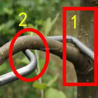 Bộ 20 chiếc dụng cụ kéo cành cây trái cây, nhánh dụng cụ vườn, giá ưu đãi 89.100 VND