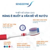 Bộ 3 Bàn chải SENSODYNE Sensitive & Gum lông mềm, bảo vệ nướu - 170.100₫ 4