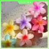 Bộ 3 Cái Kẹp Tóc Frangipani Hoa Ngôi Sao Đa Màu Mùa Hè - Cá Mập, Kẹp Móng Vuốt Hawaii 8