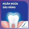 Bộ 3 Kem đánh răng SENSODYNE Rapid Action 100g - Giảm ê buốt nhanh, giá 288.090 VND 5