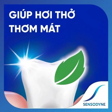 Bộ 3 Sensodyne Fresh Mint 160g - Giảm ê buốt, hương bạc hà, giá chỉ 276.450₫