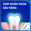 Bộ 3 Sensodyne Fresh Mint 160g - Giảm ê buốt, hương bạc hà, giá chỉ 276.450₫ 8