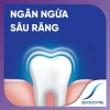 Bộ 3 Sensodyne Rapid Action 100g - Giảm ê buốt nhanh, giá ưu đãi 288.090₫ 6